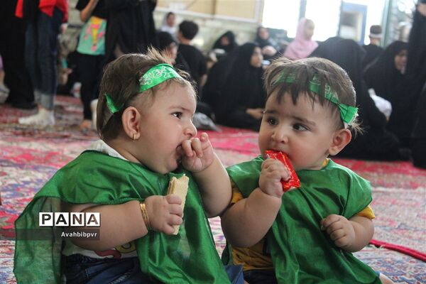همایش شیرخوارگان حسینی درشهرمحمدیه