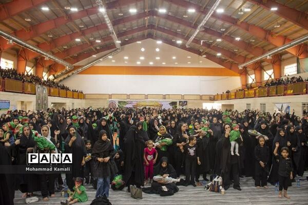 همایش شیرخوارگان حسینی در شهرستان محلات