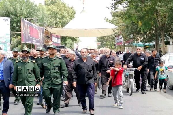 راهپیمایی محکومیت اهانت سوئد به ساحت مقدس قرآن کریم‌ در پیشوا