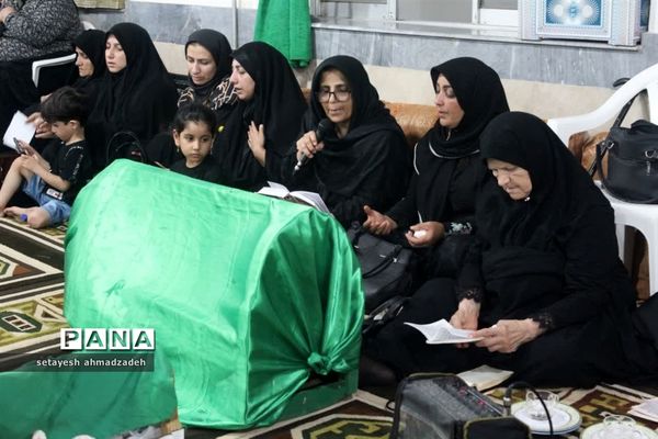 همایش شیرخوارگان حسینی در روستای تیله نو گلوگاه