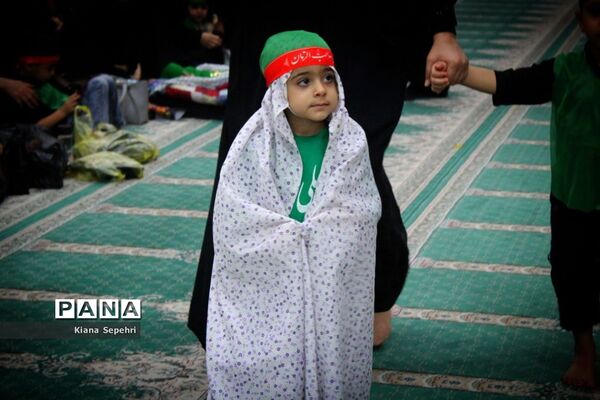 مراسم شیرخوارگان حسینی در شهرستان تنگستان
