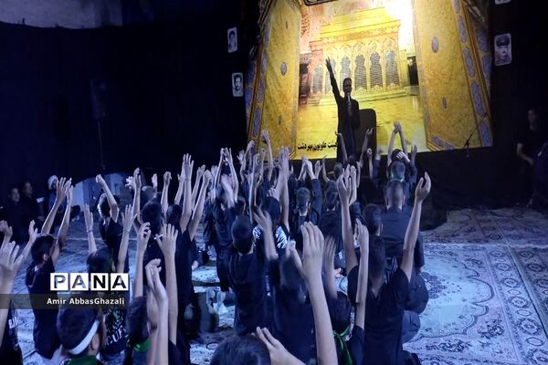عزاداری هیات نوجوانان علویون مهردشت ابرکوه