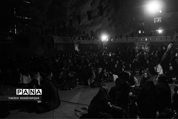 عزاداری قاسم‌ بن‌ الحسن هیات سفینة‌ النجاة