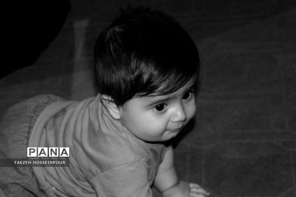 عزاداری قاسم‌ بن‌ الحسن هیات سفینة‌ النجاة