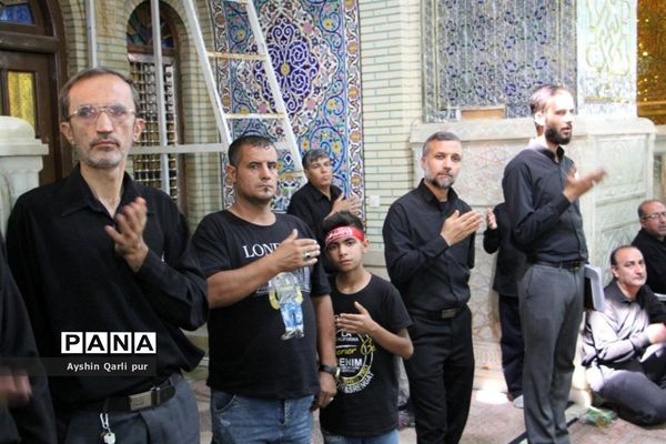 برگزاری مراسم احلی من العسل در شیراز