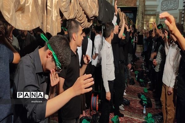 شور حال حسینی در قلب پایتخت