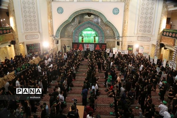 شور حال حسینی در قلب پایتخت