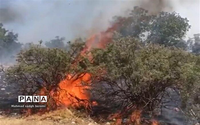 آتش بخشی از شبه‌جزیره میانکاله را در برگرفت