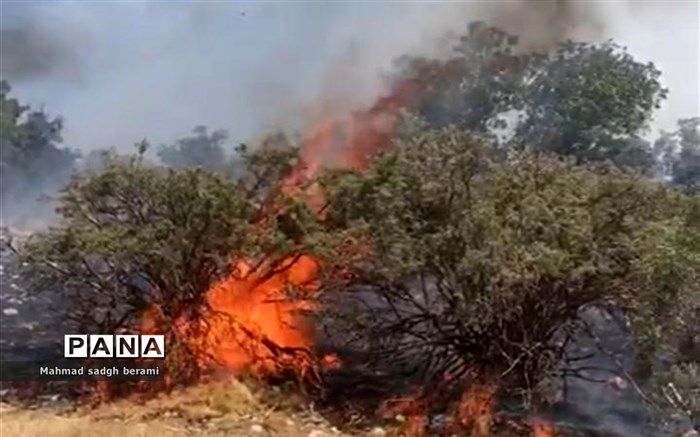 آتش بخشی از شبه‌جزیره میانکاله را در برگرفت