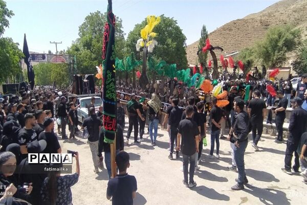 برگزاری عزاداری تاسوعای حسینی در روستای بادرود شهرستان فیروزکوه