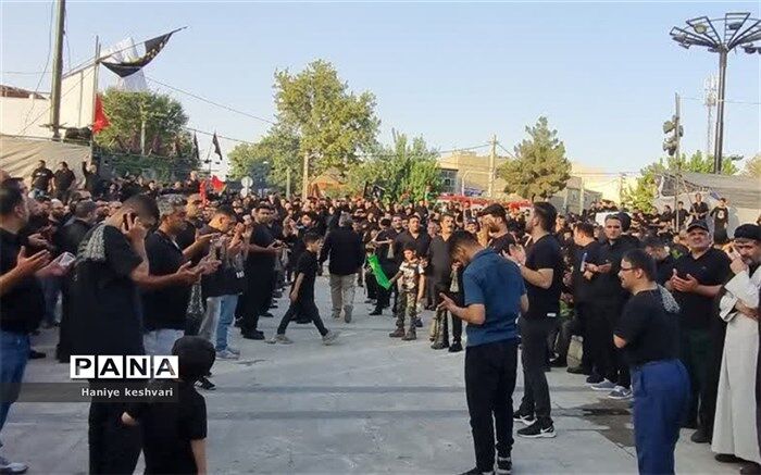 مراسم تاسوعای حسینی در شهرستان ورامین/فیلم