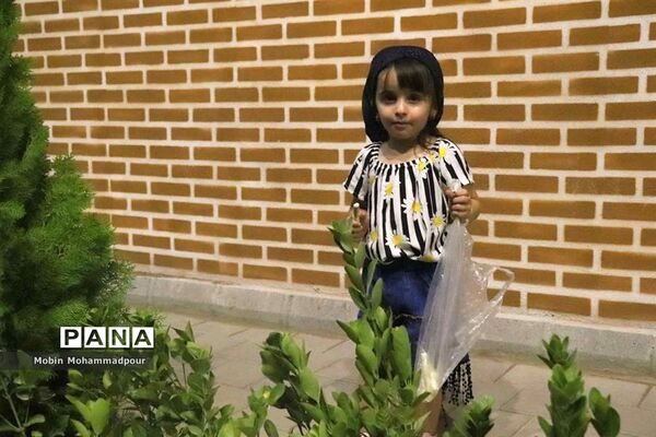 آیین شمع‌گذاری در تبریز