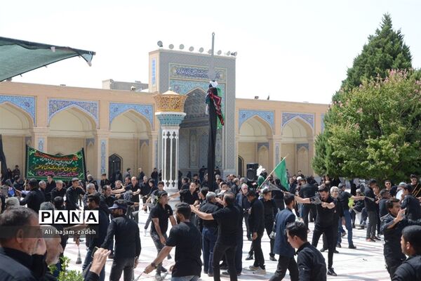 دسته زنجیر‌زنی در آرامگاه  مدرس کاشمر