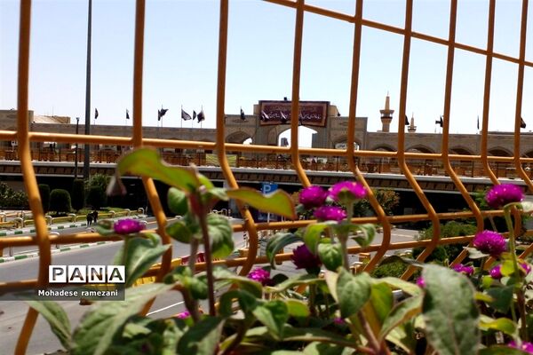 آیین زنجیر‌زنی و سینه‌زنی در روز عاشورای حسینی
