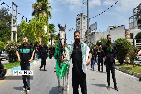 آیین زنجیر زنی و سینه‌زنی عاشورای حسینی  در نور