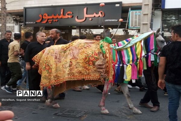 حرکت کاروان نمادین بنی اسد در شهرستان کاشمر