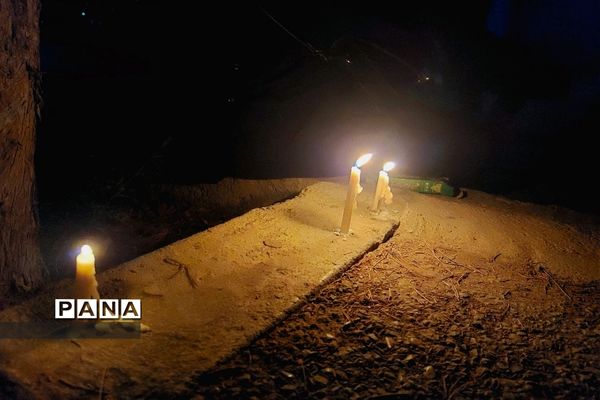 شام غریبان حسینی