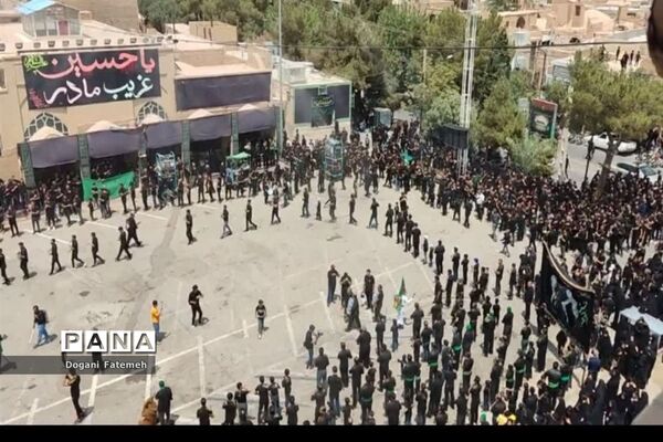 برگزاری مراسم نخل‌برداری عاشورا در حسینیه کشکنو اردکان