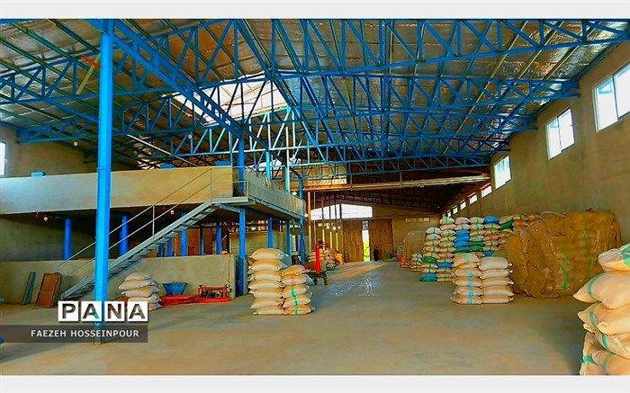 خرید برنج مازاد کشاورزان از امروز آغازمی‌شود