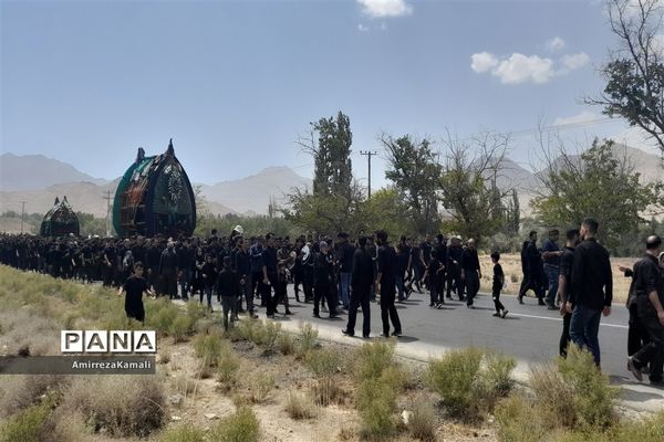 آیین نخل‌برداری علی‌آباد پیشکوه تفت