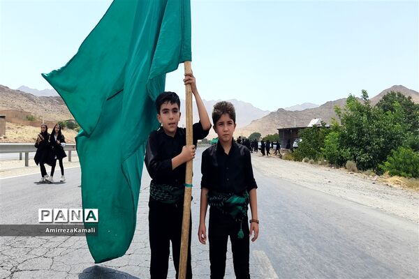 آیین نخل‌برداری علی‌آباد پیشکوه تفت