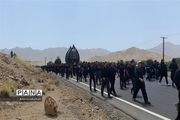 آیین نخل‌برداری علی‌آباد پیشکوه تفت