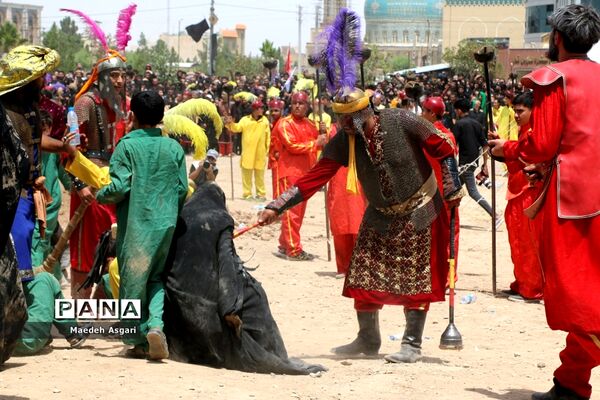 جلوه‌هایی از عزاداری و تعزیه حسینی در قم -1
