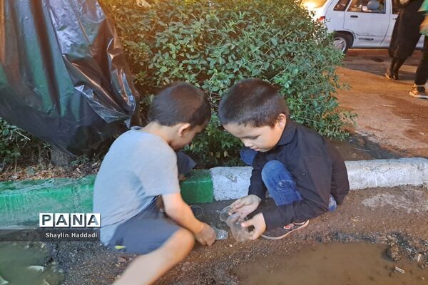 برگزاری مراسم عزاداری سیدالشهدا توسط کودکان حسینی
