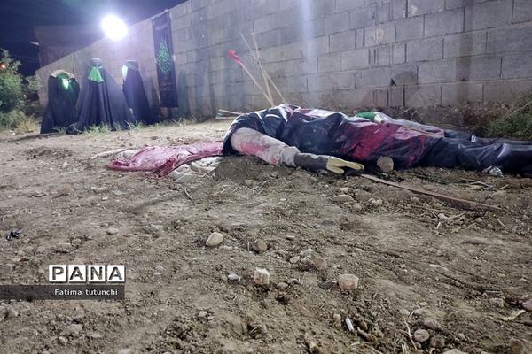 نمایشگاه عزای محرم درمیدان فرصت شیرازی