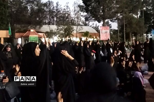 دسته عزاداری در سطح شهرستان رباط‌کریم