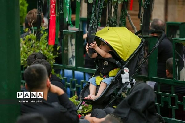 حضور نوزادان و خردسالان اردکانی در مراسم عزاداری محرم