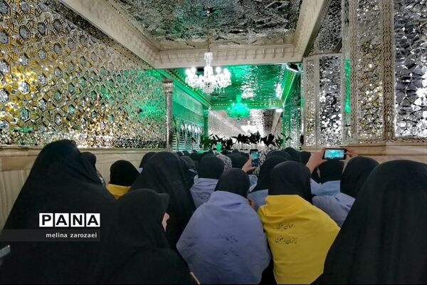 به وقت شیدایی برای امام رضا(ع)
