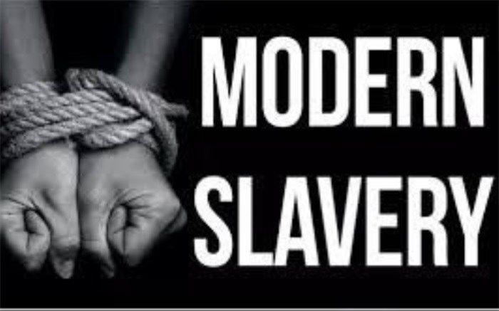 روایتی از بربریت نوین در کشورهای پیشرفته روی آنتن شبکه پنج