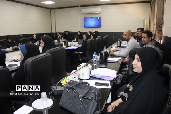 کارگاه ‌برنامه ملی توانمند‌سازی معلمان دوره ابتدایی  استان بوشهر