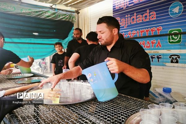 جلوه های عزاداری قشرهای مختلف مردم در مصیبت آل الله-2