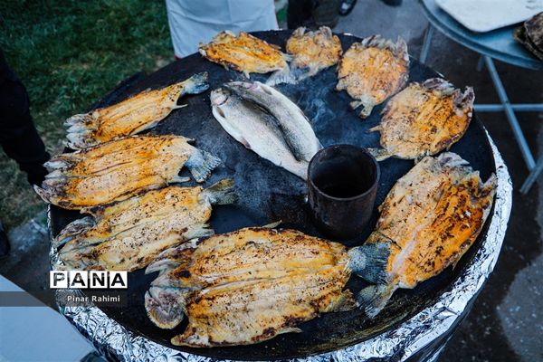 جشنواره ساج بالیغی