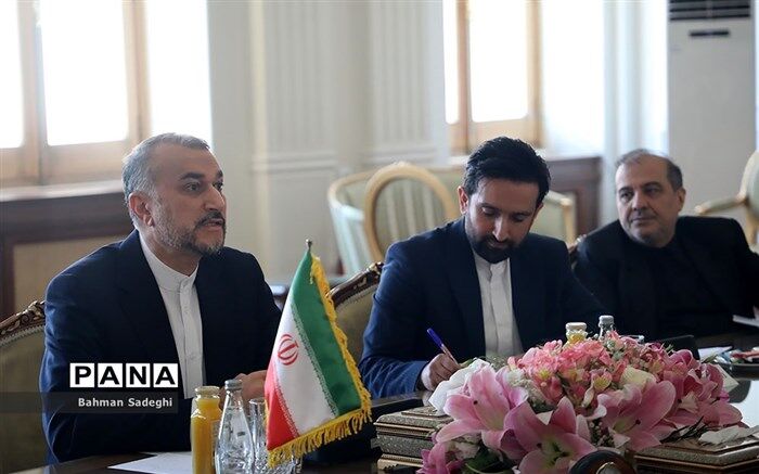 موضع مشترک کشورهای اسلامی در حمایت از فلسطین به فعلیت رسیده است
