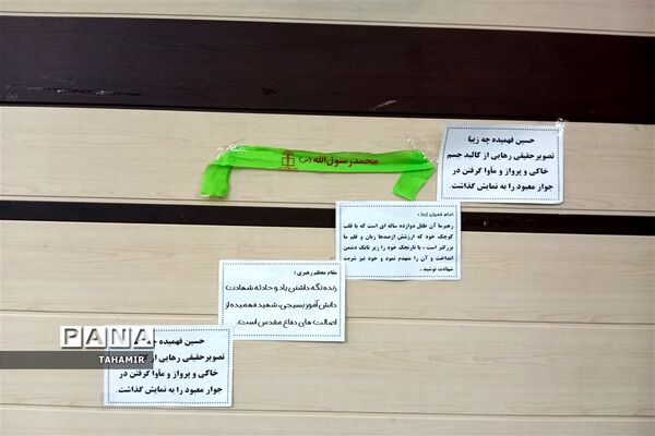 فریاد عروسک‌ها