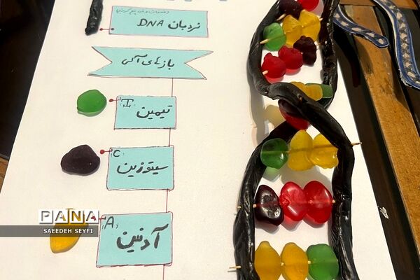 نمایشگاه دست سازه‌های آزمایشگاهی پژوهش‌سرای دانش‌آموزی کاوش