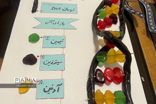نمایشگاه دست سازه‌های آزمایشگاهی پژوهش‌سرای دانش‌آموزی کاوش