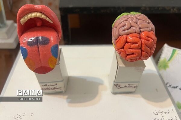 نمایشگاه دست سازه‌های آزمایشگاهی پژوهش‌سرای دانش‌آموزی کاوش