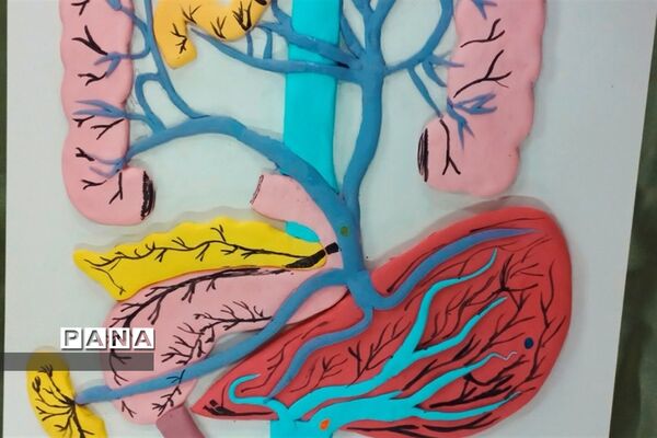 بازدید مسئولان و دانش‌آموزان از نمایشگاه آزمایشگاه زهره خبازی دماوند