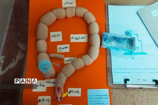 بازدید مسئولان و دانش‌آموزان از نمایشگاه آزمایشگاه زهره خبازی دماوند