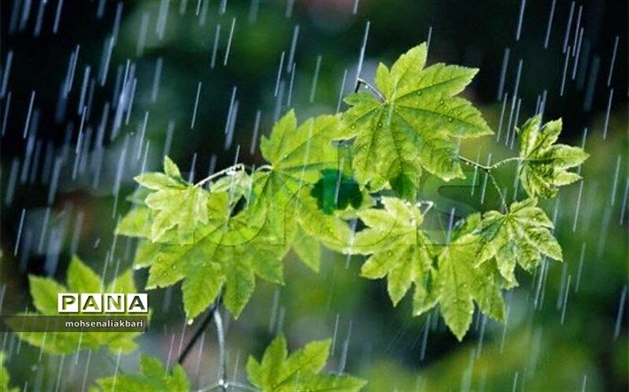 بیشترین بارندگی  خراسان جنوبی در حجت آباد سربیشه با ثبت ۲۴ میلیمتر بارش