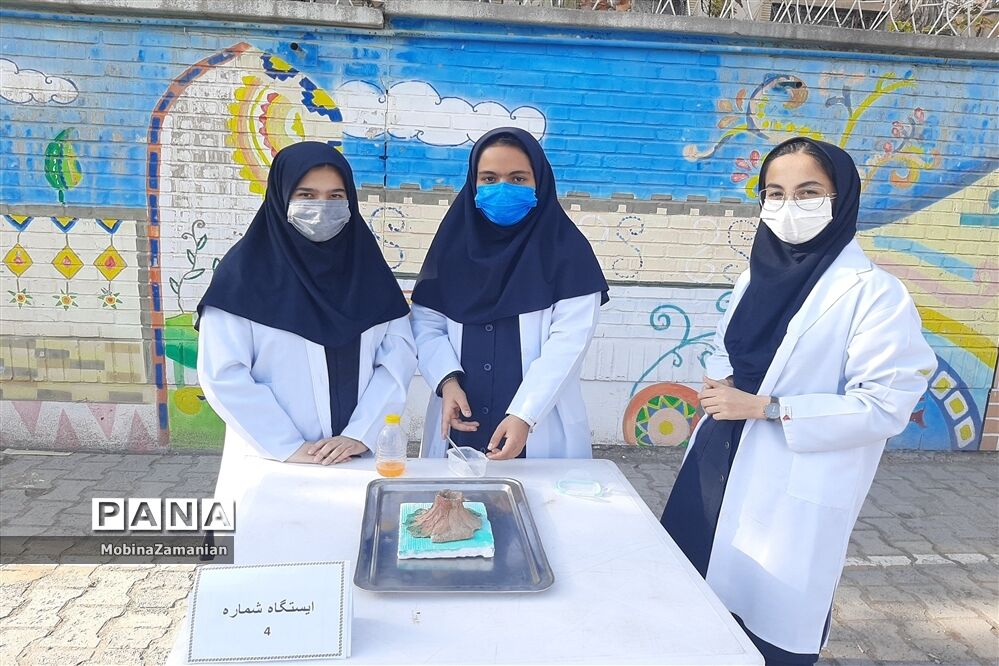 بزرگداشت روز آزمایشگاه در دبیرستان شاهد شهید حمامی