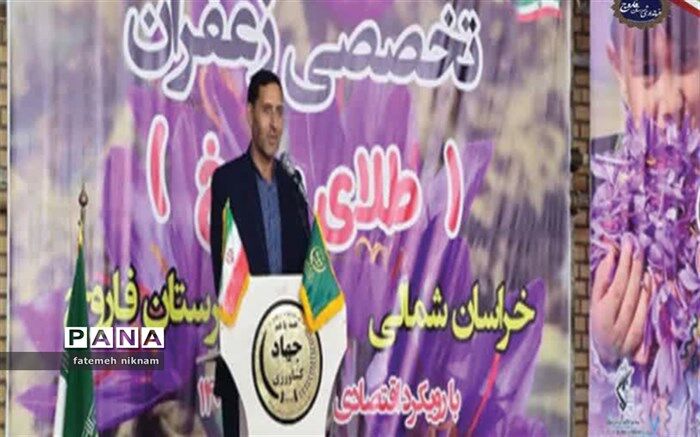 کارگاه علمی-تخصص طلای سرخ در فاروج