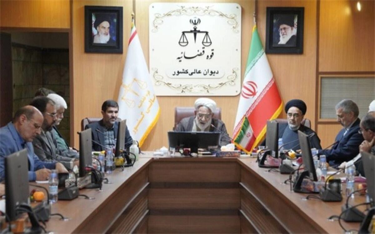 نخستین جلسه کارگروه آسیب شناسی احکام صادره در دیوان عالی کشور برگزار شد