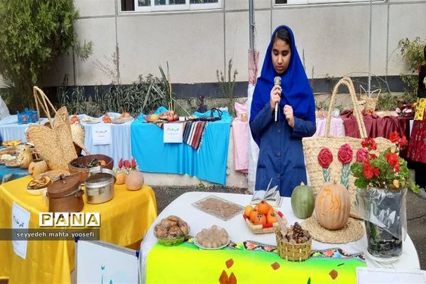 هفته مازندران در دبیرستان شاهد ساری