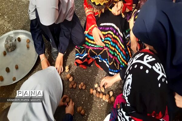 هفته مازندران در دبیرستان شاهد ساری
