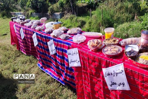 هفته ملی مازندران در دبستان شایستگان گلوگاه